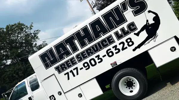 Nathan's Tree Service branded truck