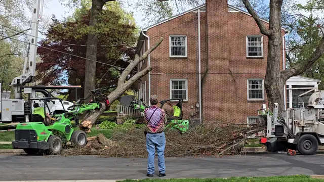 Tree Removal context for Git-R-Down Tree Service LLC