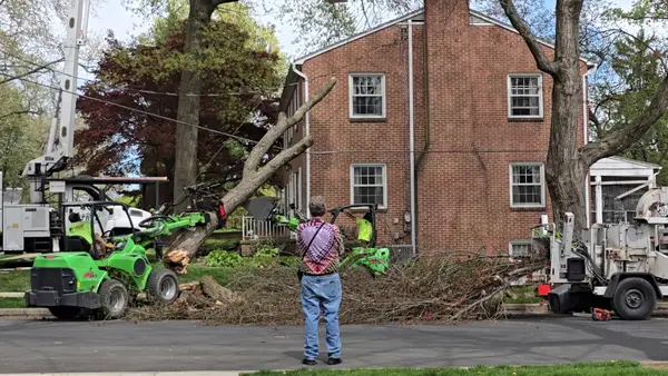 Tree removal beside a brick home