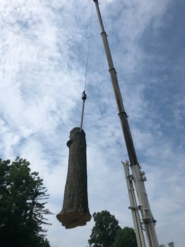 Crane lifting a tree trunk section