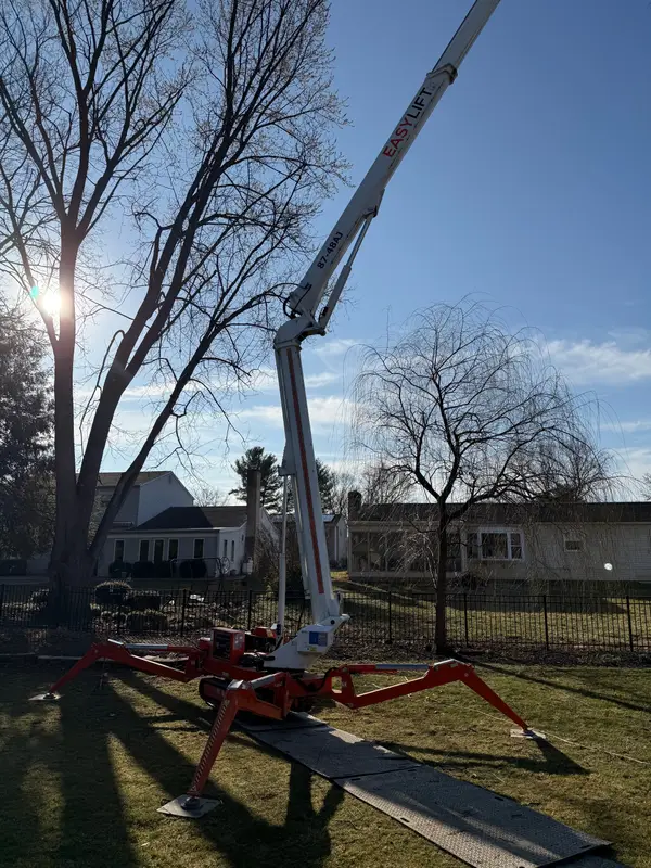 Crane-assisted tree removal above a yard