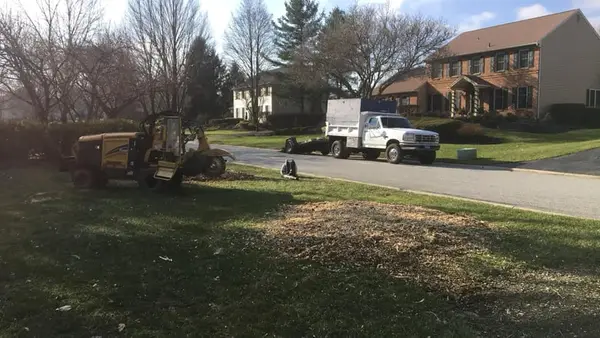 Tree-service crew shown on the Pittock's profile