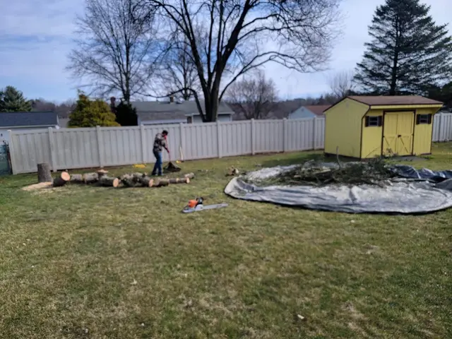 Storm Cleanup context for 3 Fellers, LLC