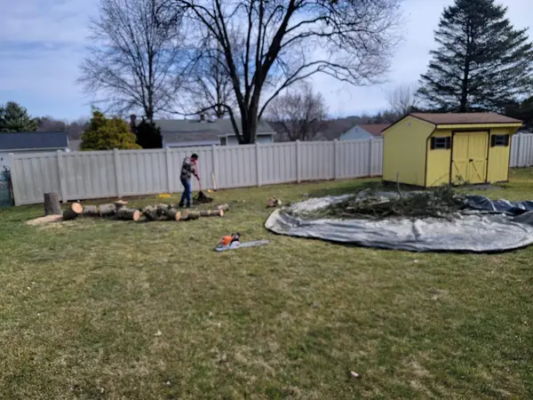 Crew cutting and moving logs in a residential yard