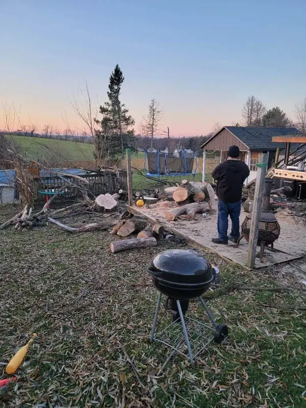 Crew clearing branches from a yard