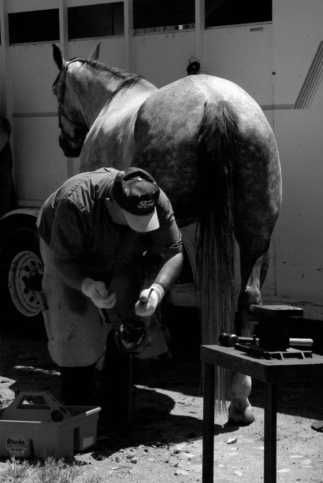 Lost Shoe Visits context for Eastern PA Farrier