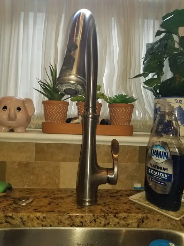Installed kitchen faucet