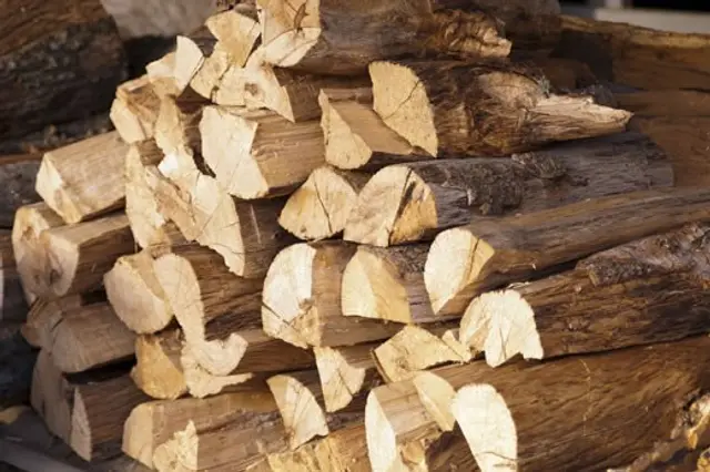 Seasoned Firewood context for Point Pleasant Tree Service