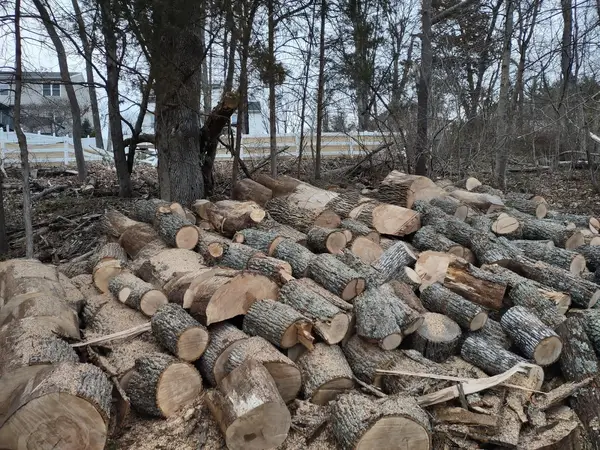 Cut logs and cleanup after tree work by JL Tree Care Services