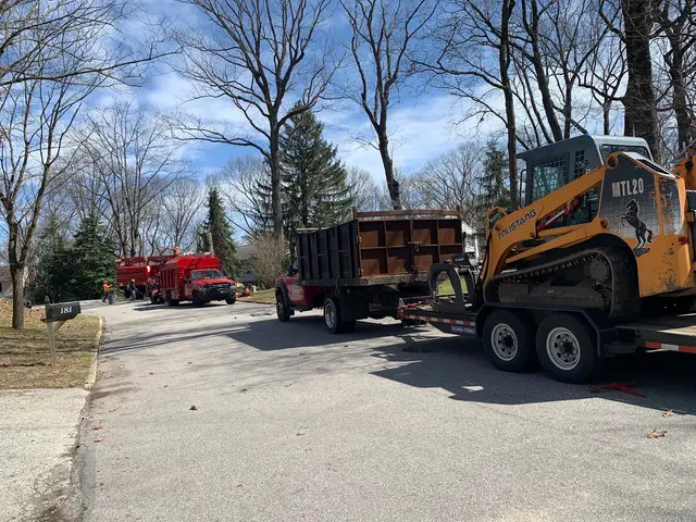 Tree Pruning context for JL Tree Care Services