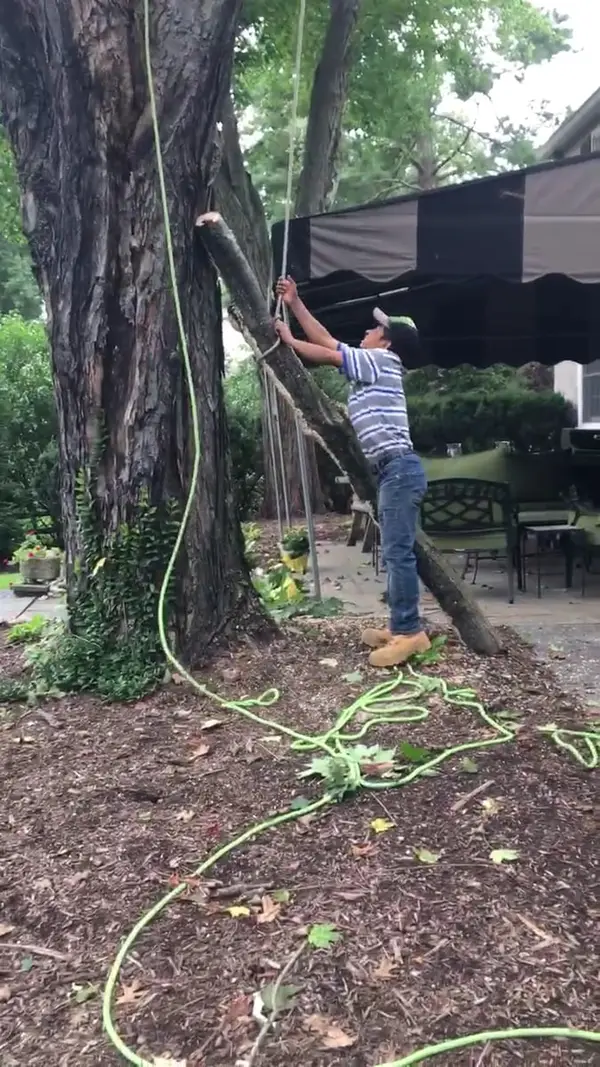 Pelchat ground crew managing rigging at a tree project