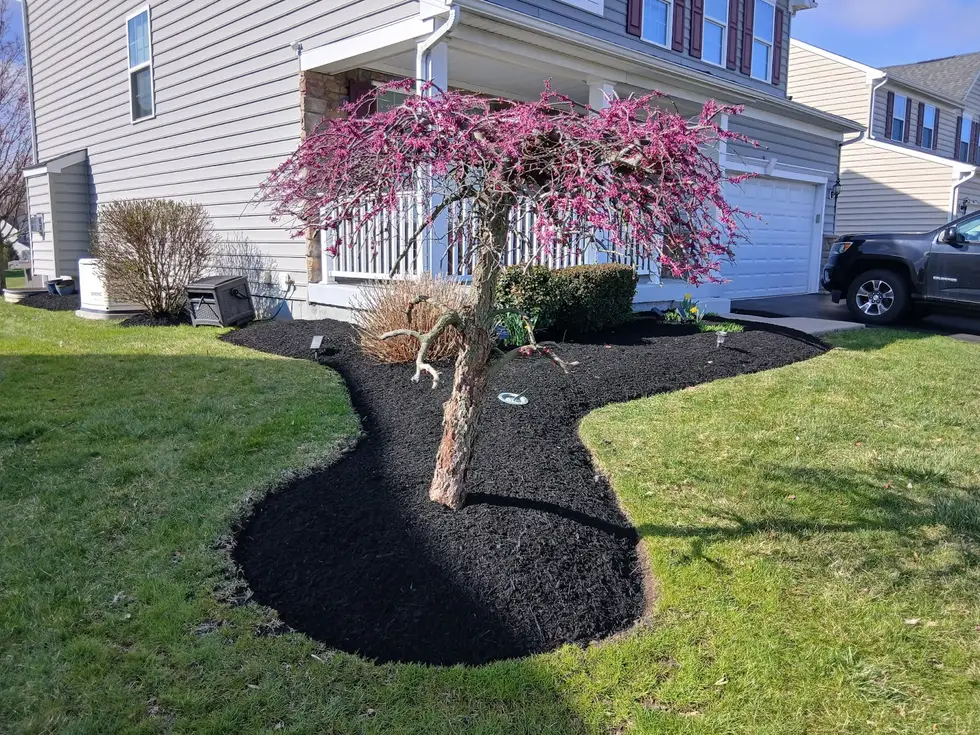 Blue Collar Lawn Service LLC project work