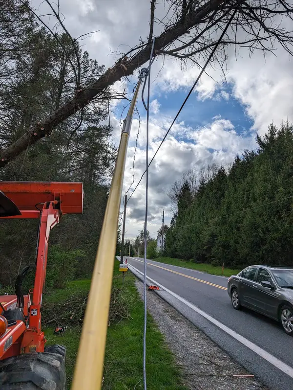 Lift positioned beside roadside trees