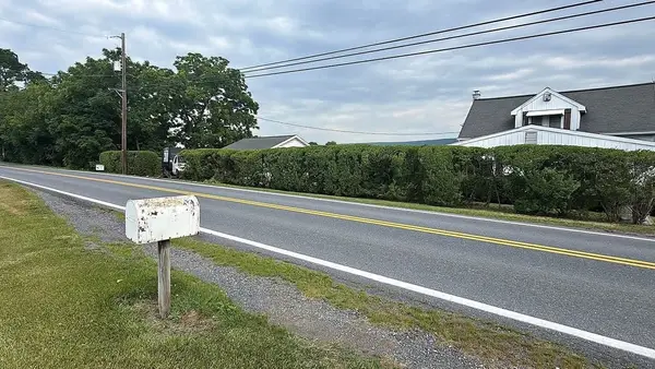 Finished roadside hedge
