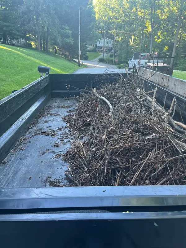 Brush loaded for removal