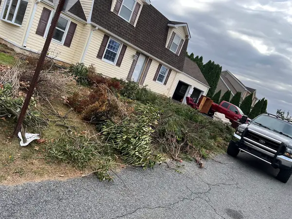 Outdoor property cleanup