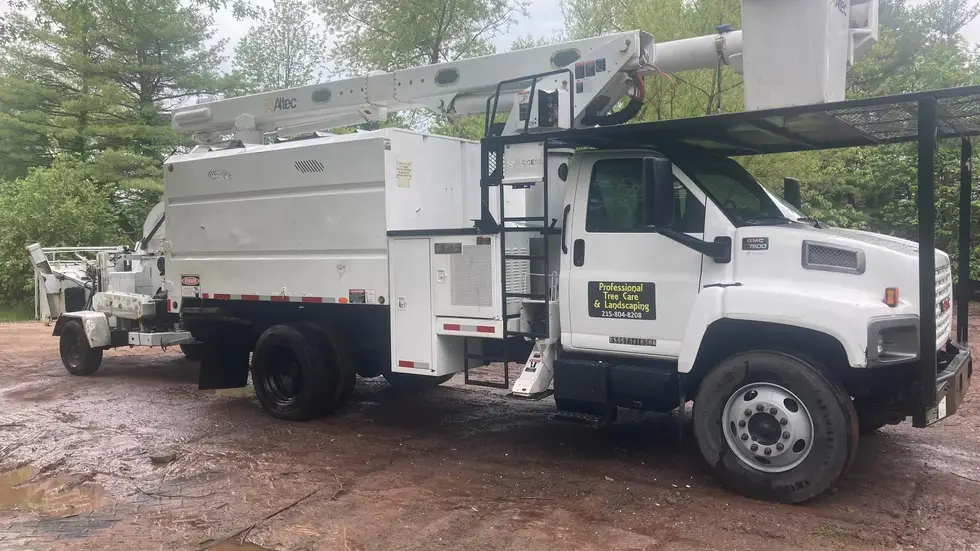 Professional Tree Care project work