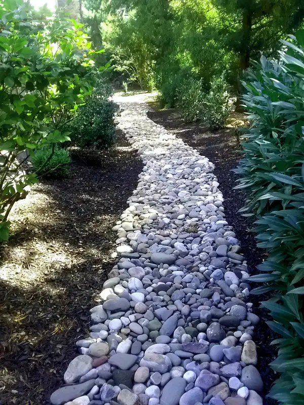 Decorative stone path through a planted bed