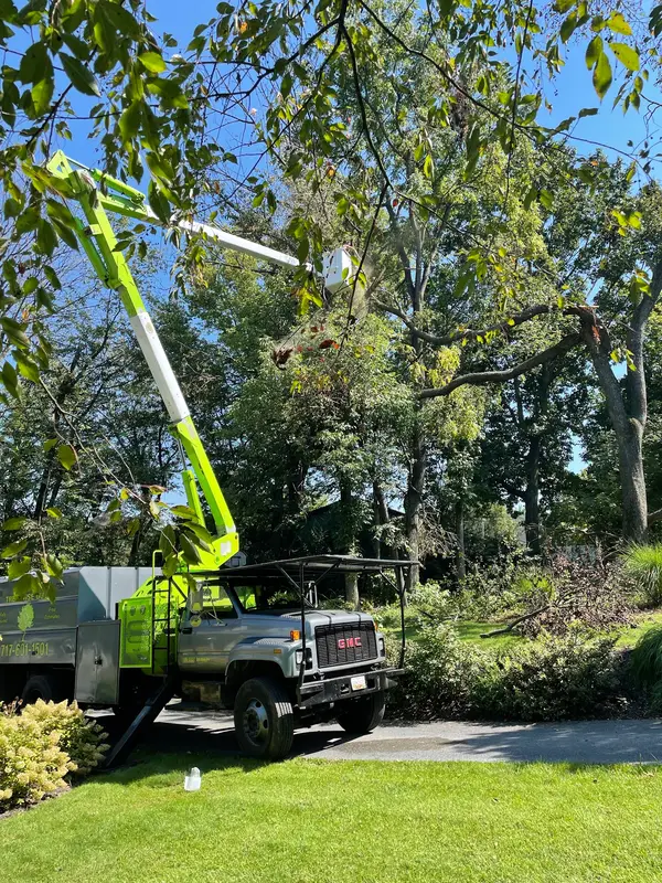 Bucket truck positioned for work beside trees