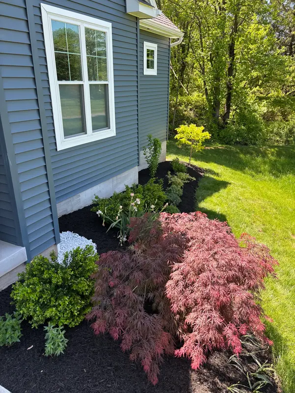 Mulched planting bed beside a house