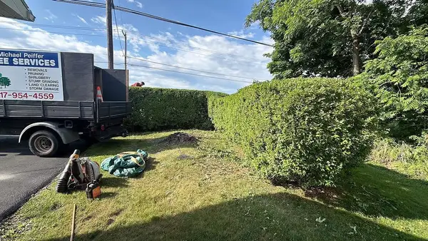 Hedge trimming and work truck
