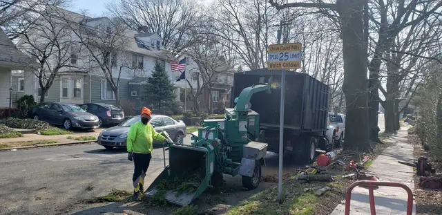 Wood Chip Delivery context for Leopard Tree Services LLC