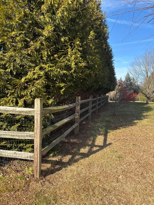 Brush & Lot Clearing context for Rusty Roots Tree Care