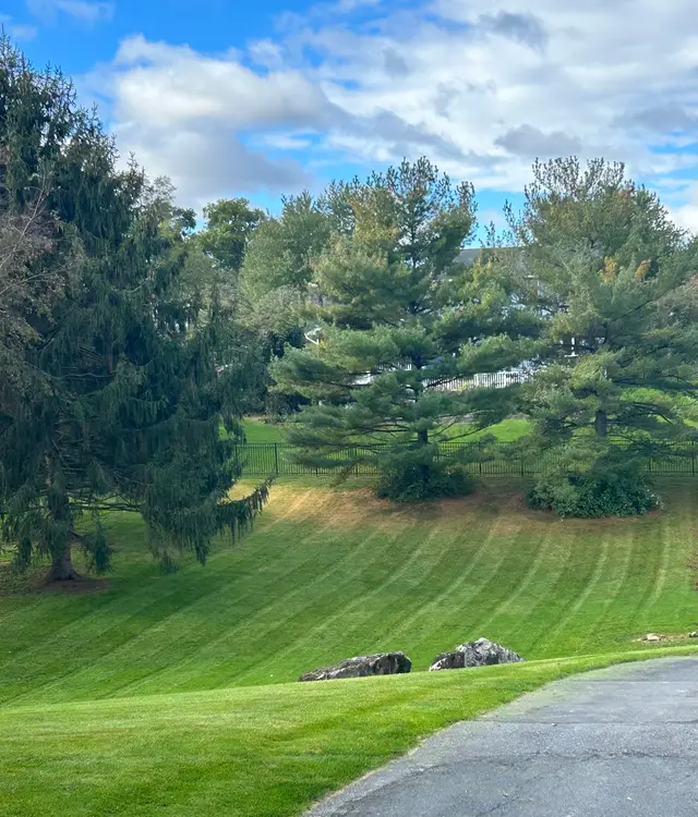 Lawn Aeration & Overseeding context for SD Lawn Services LLC