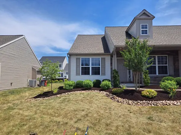 Planting bed alongside a house