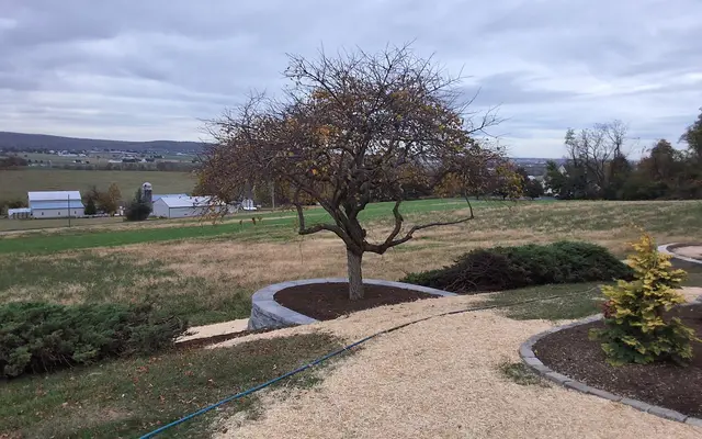 Retaining Walls context for Lilac Hill Landscapes
