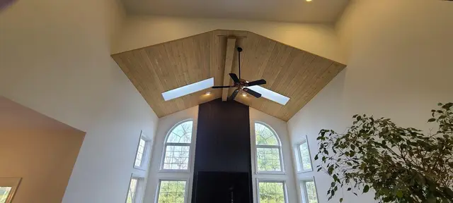 Wall & Ceiling Painting context for IPS Painting