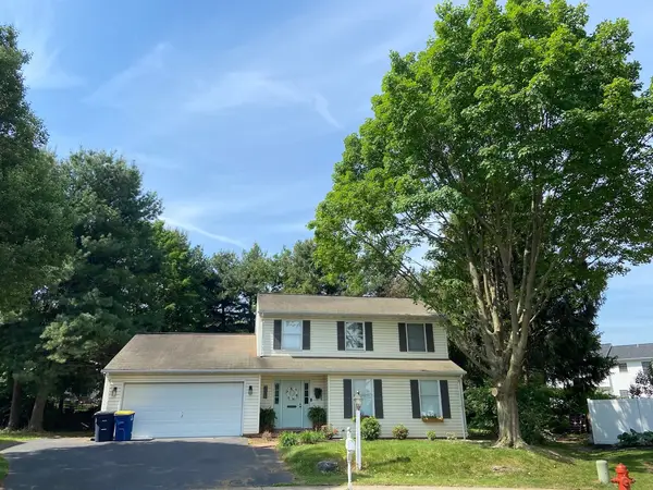 Large tree next to a two-story home