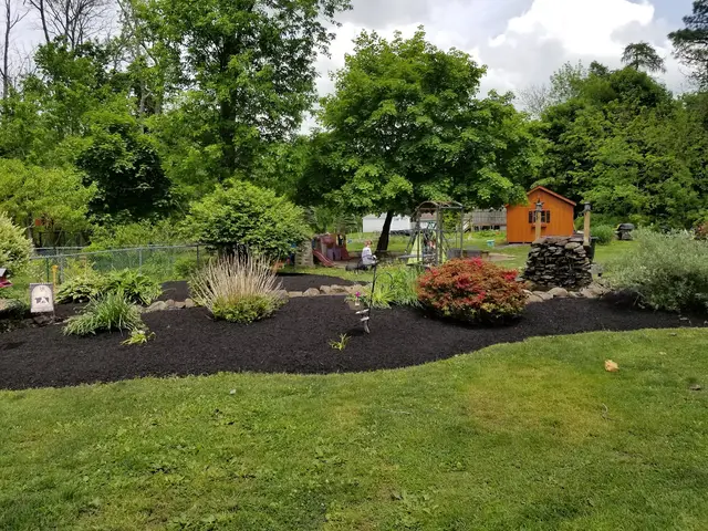 Garden Bed Weeding context for Blue Collar Lawn Service LLC