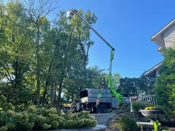 Elevated bucket truck working in a residential yard