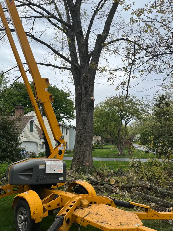 Tree service equipment