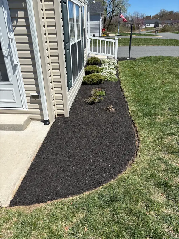 Fresh mulch beside an entrance