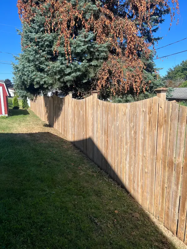 Fence and yard