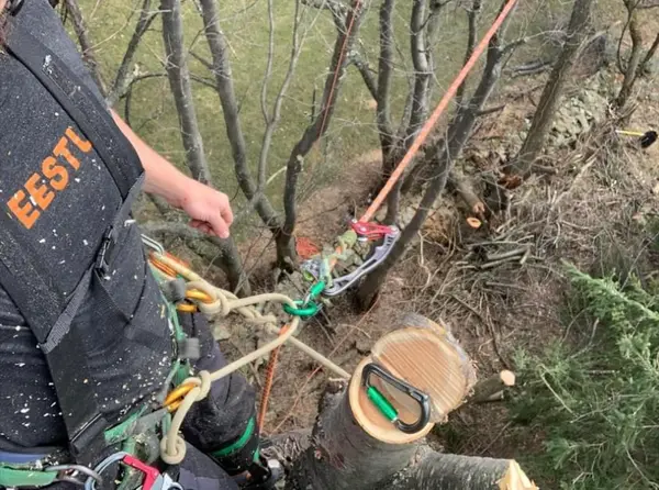 Rigging detail
