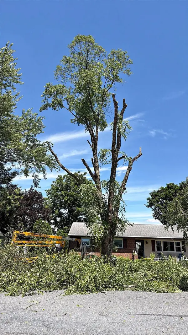 Tree removal beside a home