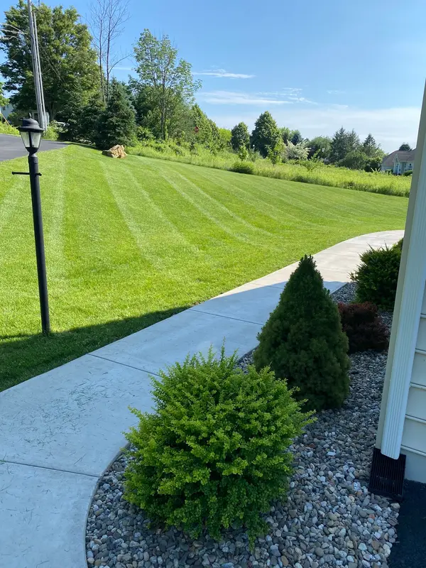Striped lawn and planting bed