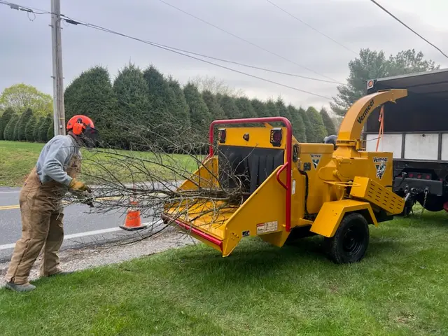Branch Cleanup & Chipping context for LIM 4 Him Tree Service, LLC