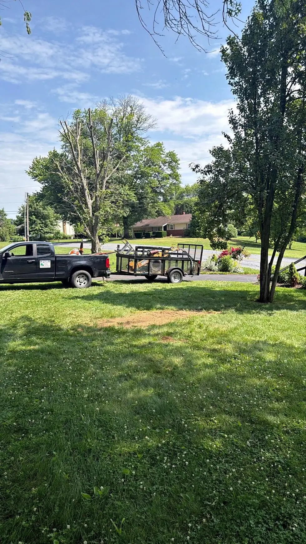 Michael Peiffer Tree Service project work