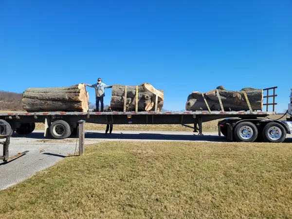 Logs loaded on a trailer