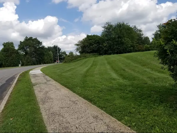 Striped lawn beside a road