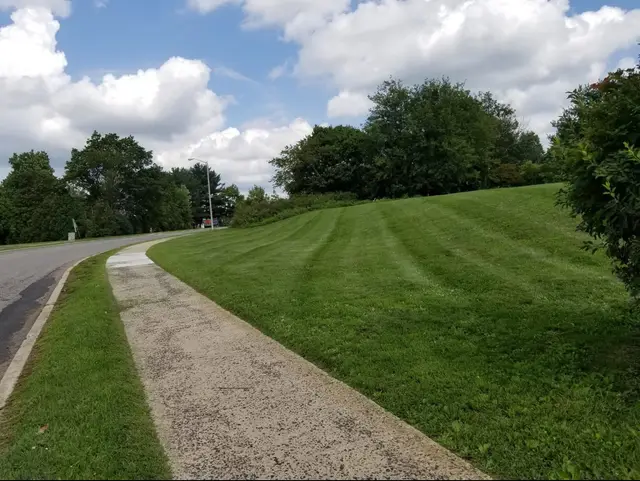Lawn & Yard Care context for Blue Collar Lawn Service LLC