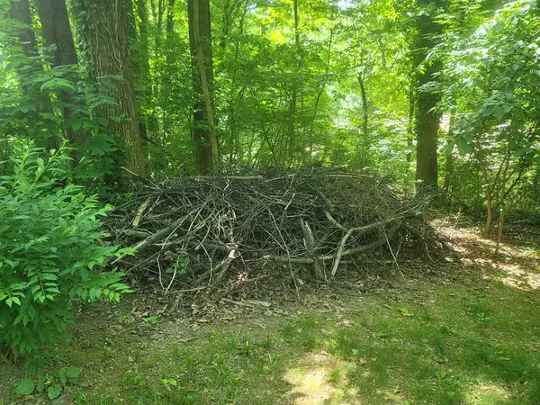 Brush removal