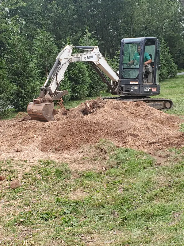 Stump and root work