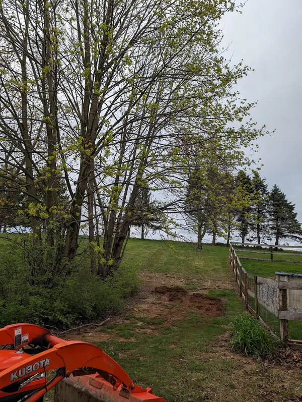 Equipment beside a large tree