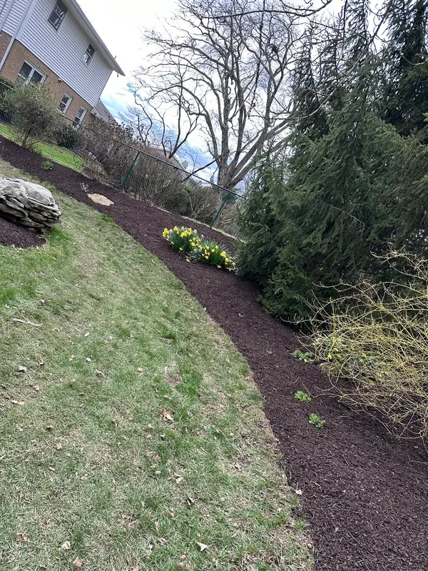 Freshly mulched side yard