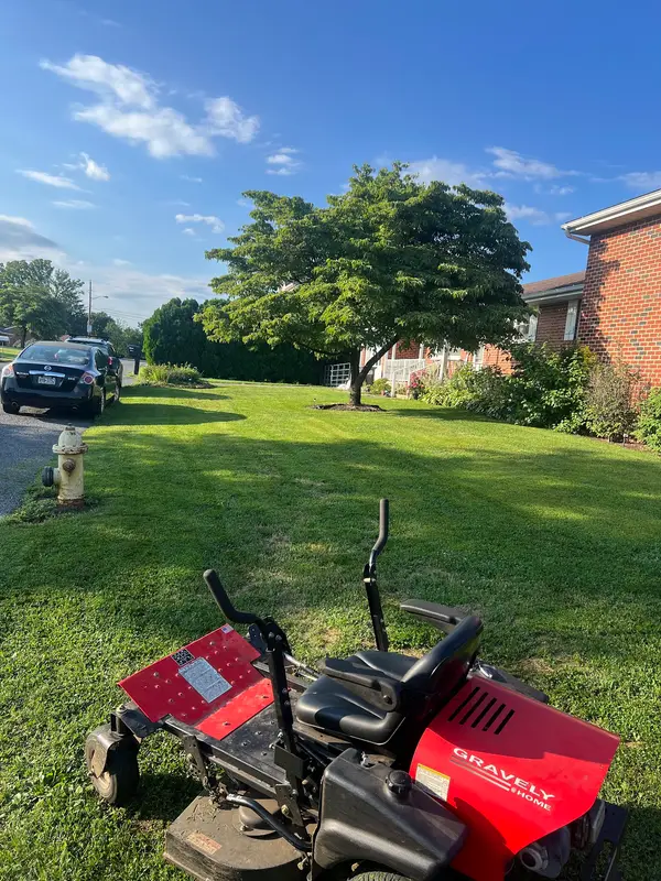 Mower and lawn